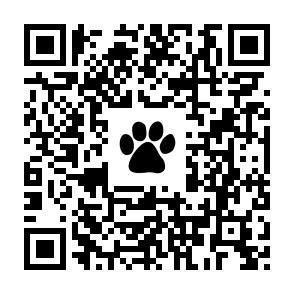QR code to apply for a dog license online